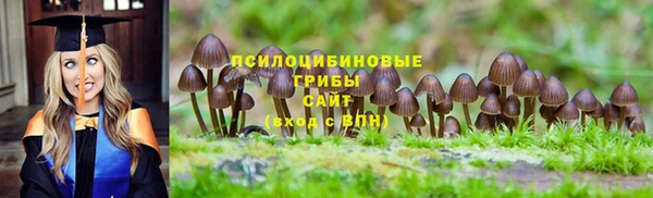 хмурый Верея