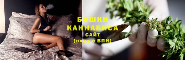 стаф Кулебаки