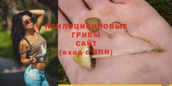 стаф Верхнеуральск