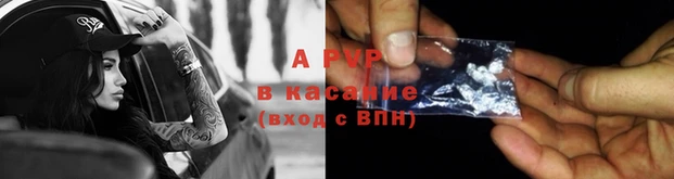 хмурый Верея