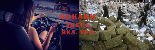 шишки Кукмор
